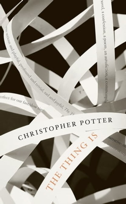 The Thing Is, Christopher Potter - Ebook - 9781472134325