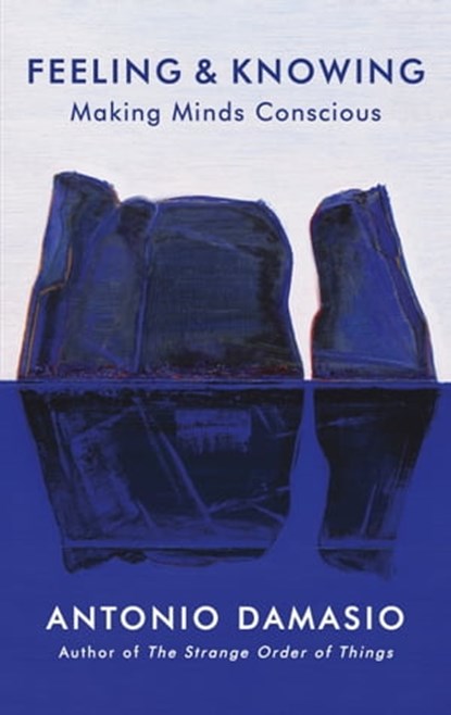 Feeling and Knowing, Antonio Damasio - Ebook - 9781472147325