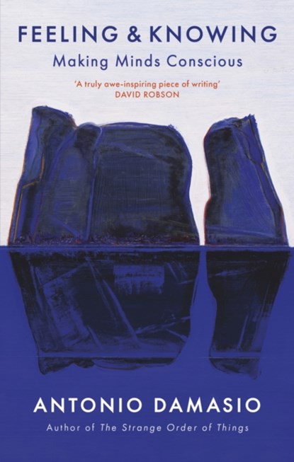 Feeling and Knowing, Antonio Damasio - Paperback - 9781472147349