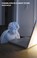 Chameleon in a Candy Store, Anonymous Anonymous - Paperback - 9781472153104