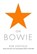 On Bowie, Rob Sheffield - Paperback - 9781472241054