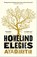 Homeland Elegies, AKHTAR,  Ayad - Paperback - 9781472276896