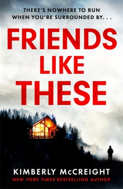 Friends Like These, Kimberly McCreight - Paperback - 9781472292988