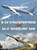 B-52 Stratofortress vs SA-2 "Guideline" SAM, Peter E. Davies - Paperback - 9781472823625