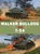 Walker Bulldog vs T-54, Chris McNab - Paperback - 9781472836120