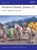 Medieval Indian Armies (1), Dr David Nicolle - Paperback - 9781472843449