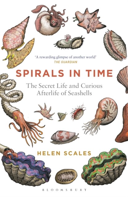 Spirals in Time, Helen Scales - Paperback - 9781472911384