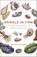 Spirals in Time, Helen Scales - Paperback - 9781472911384