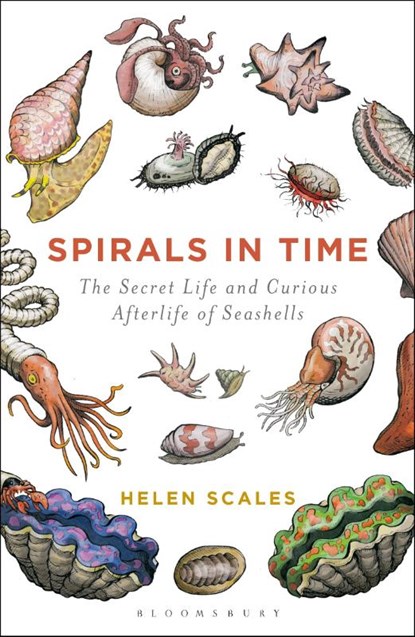 Spirals in Time, Helen Scales - Paperback - 9781472911384