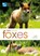 RSPB Spotlight: Foxes, Mike Unwin - Paperback - 9781472912091