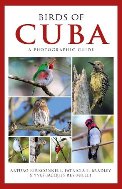 Photographic Guide to the Birds of Cuba, Arturo Kirkconnell ; Patricia E. Bradley ; Yves-Jacques Rey-Millet - Paperback - 9781472918390