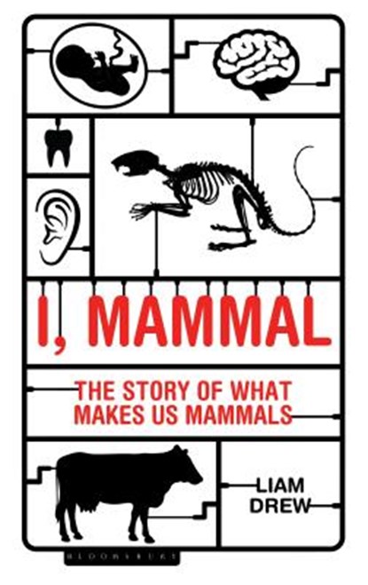 I, Mammal, Liam Drew - Paperback - 9781472922915