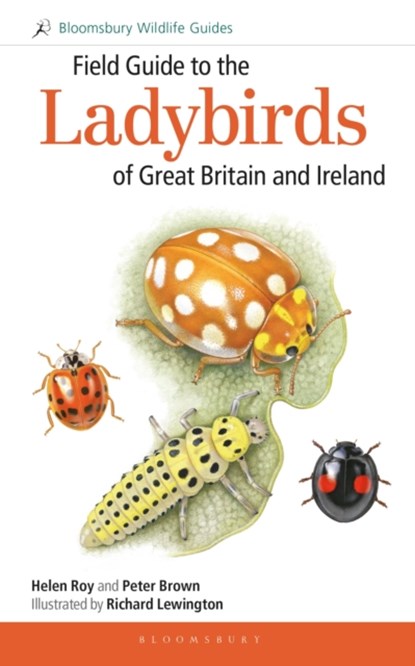Field Guide to the Ladybirds of Great Britain and Ireland, Helen Roy ; Dr Peter Brown - Paperback - 9781472935687