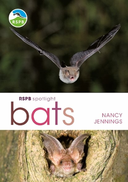 RSPB Spotlight Bats, Nancy Jennings - Paperback - 9781472950055