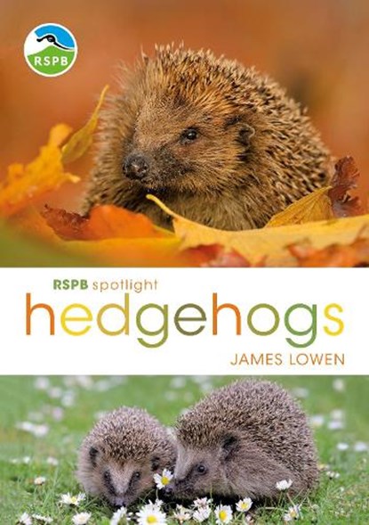 RSPB Spotlight Hedgehogs, James Lowen - Paperback - 9781472950086