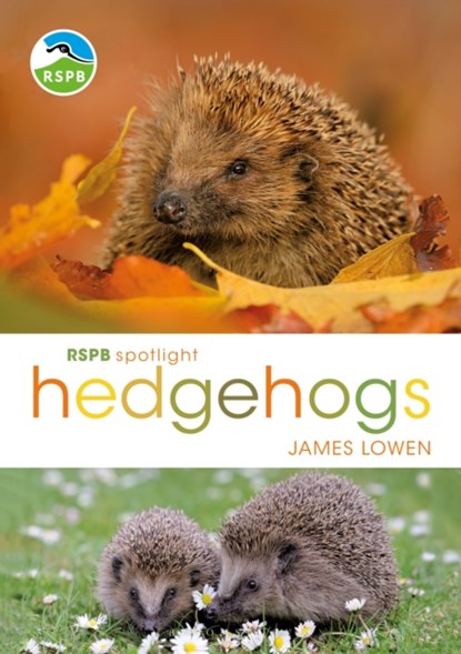 RSPB Spotlight Hedgehogs, James Lowen - Paperback - 9781472950086