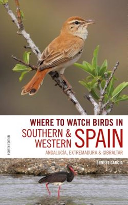 Where to Watch Birds in Southern and Western Spain, Ernest Garcia ; Andrew Paterson - Paperback - 9781472951847