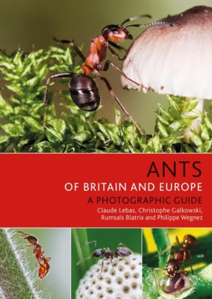 Ants of Britain and Europe, LEBAS,  Claude ; Galkowski, Christophe ; Blatrix, Rumsais ; Wegnez, Philippe - Paperback - 9781472954084