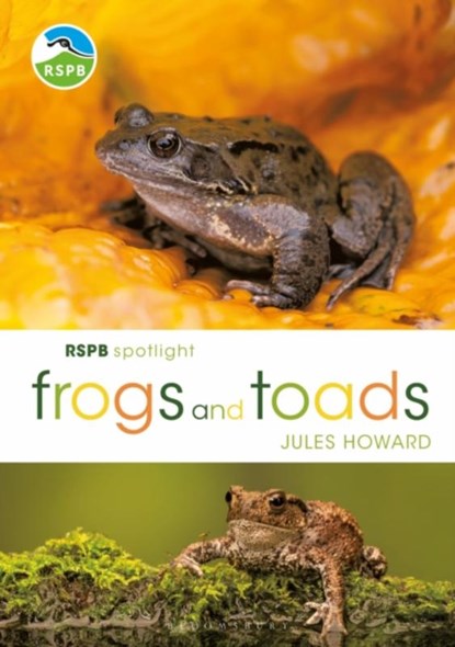 RSPB Spotlight Frogs and Toads, Mr Jules Howard - Paperback - 9781472955814