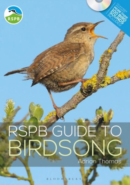 RSPB Guide to Birdsong, Adrian Thomas - Paperback - 9781472955876