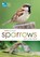 RSPB Spotlight Sparrows, Amy-Jane Beer - Paperback - 9781472955937