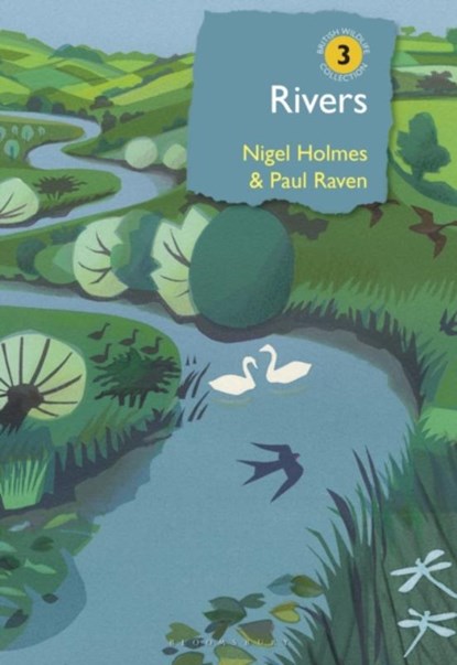 Rivers, Dr Paul (Author) Raven ; Nigel Holmes - Gebonden - 9781472960351