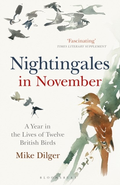 Nightingales in November, Mike Dilger - Paperback - 9781472962423