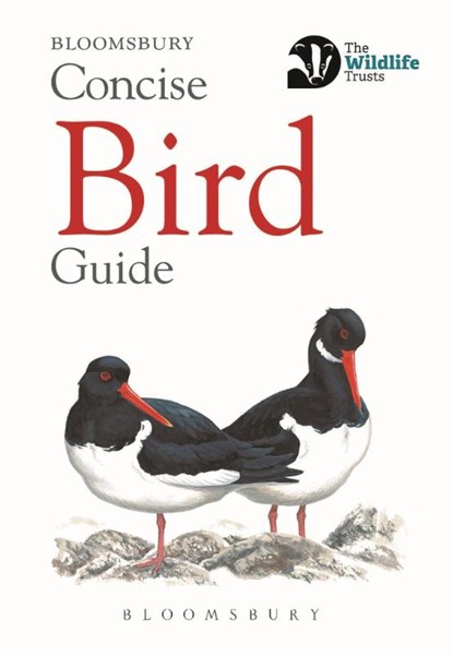 Concise Bird Guide, Bloomsbury - Paperback - 9781472963758