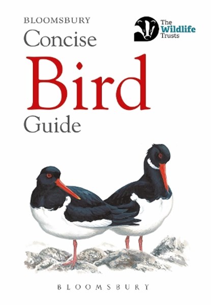 Concise Bird Guide, Bloomsbury - Paperback - 9781472963758