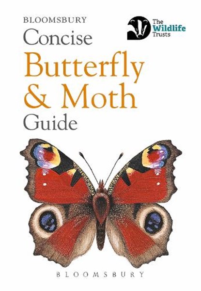Concise Butterfly and Moth Guide, Bloomsbury - Paperback - 9781472963772