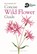 Concise Wild Flower Guide, Bloomsbury - Paperback - 9781472963802