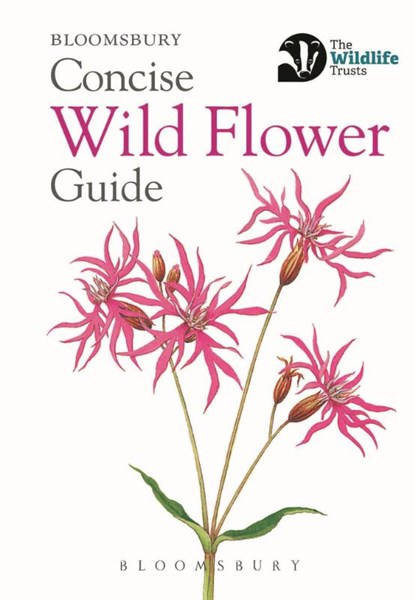 Concise Wild Flower Guide, Bloomsbury - Paperback - 9781472963802