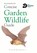 Concise Garden Wildlife Guide, Bloomsbury - Paperback - 9781472966643