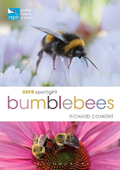 RSPB Spotlight Bumblebees, Richard Comont - Paperback - 9781472966650