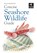 Concise Seashore Wildlife Guide, Bloomsbury - Paperback - 9781472968296