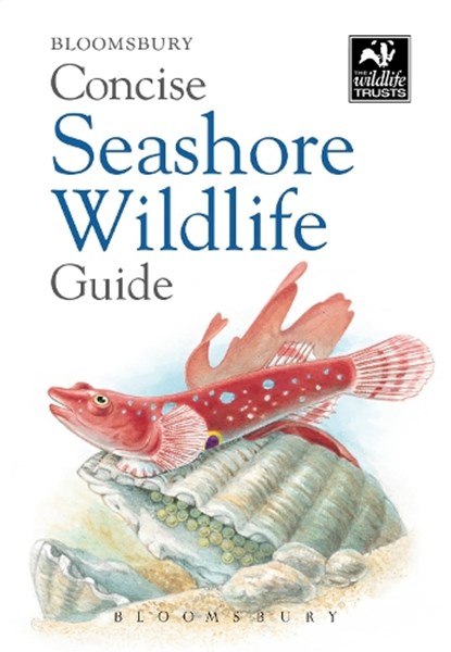 Concise Seashore Wildlife Guide, Bloomsbury - Paperback - 9781472968296