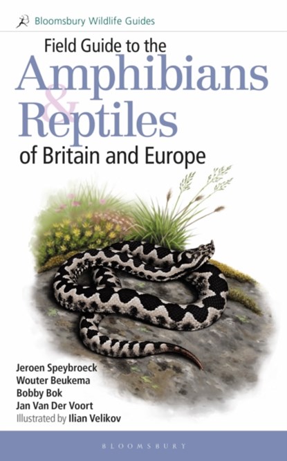 Field Guide to the Amphibians and Reptiles of Britain and Europe, Jeroen Speybroeck ; Wouter Beukema ; Bobby Bok ; Jan Van Der Voort - Paperback - 9781472970428