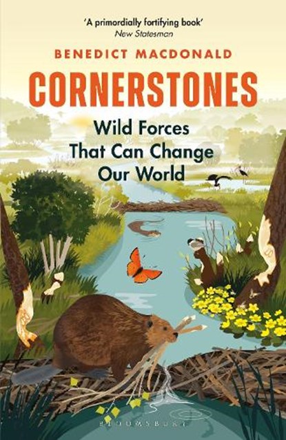 Cornerstones, Benedict Macdonald - Paperback - 9781472971593