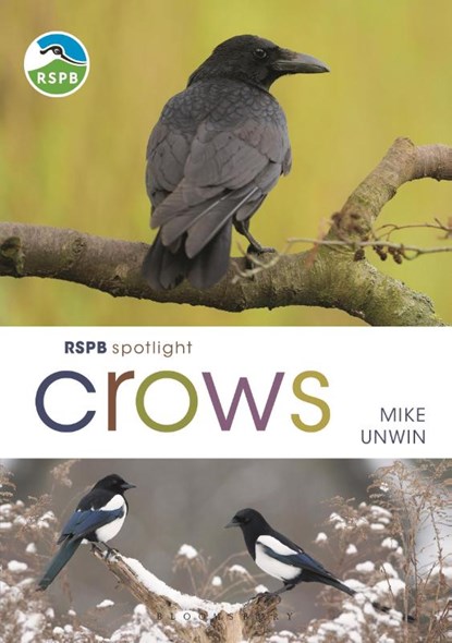 RSPB Spotlight Crows, Mike Unwin - Paperback - 9781472971777