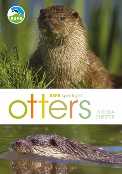 RSPB Spotlight: Otters, Nicola Chester - Paperback - 9781472971821