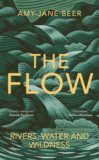 The Flow, Amy-Jane Beer - Gebonden - 9781472977397