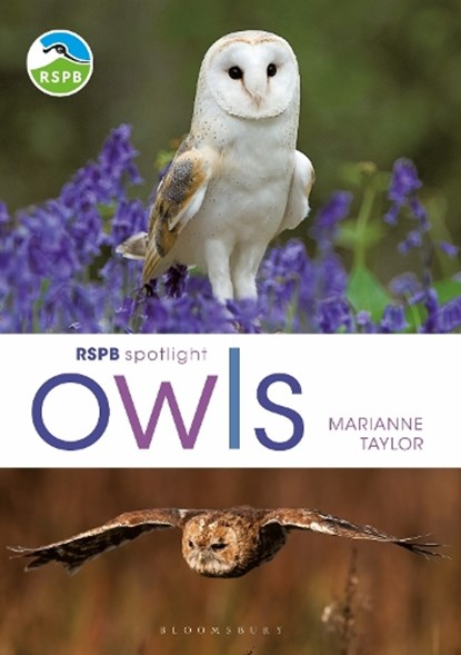 RSPB Spotlight Owls, Marianne Taylor - Paperback - 9781472980281