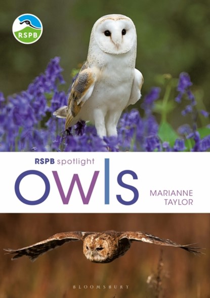 RSPB Spotlight Owls, Marianne Taylor - Paperback - 9781472980281