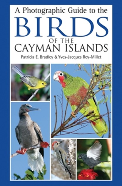 A Photographic Guide to the Birds of the Cayman Islands, Patricia E. Bradley ; Yves-Jacques Rey-Millet - Paperback - 9781472983534