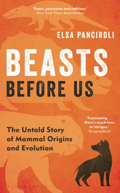 Beasts Before Us, Elsa Panciroli - Paperback - 9781472983985
