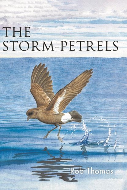 The Storm-petrels, Rob Thomas - Paperback - 9781472985828