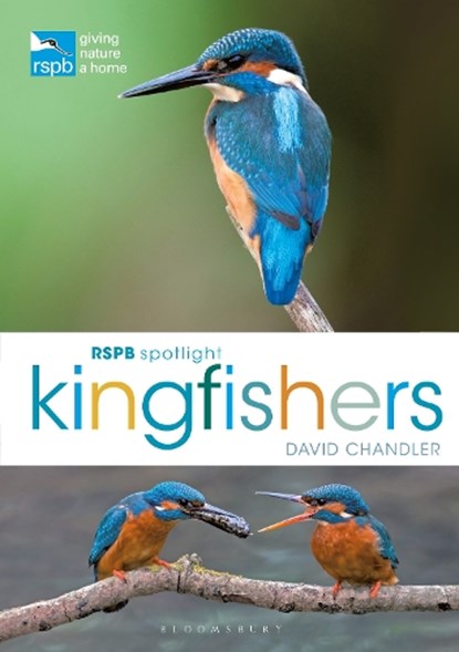 RSPB Spotlight Kingfishers, David (Author) Chandler - Paperback - 9781472987617