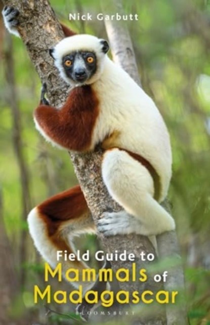 Field Guide to Mammals of Madagascar, Nick Garbutt - Paperback - 9781472991676