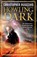 Howling Dark, Christopher Ruocchio - Paperback - 9781473218307