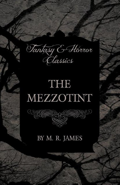 The Mezzotint (Fantasy and Horror Classics), M. R. James - Paperback - 9781473305359